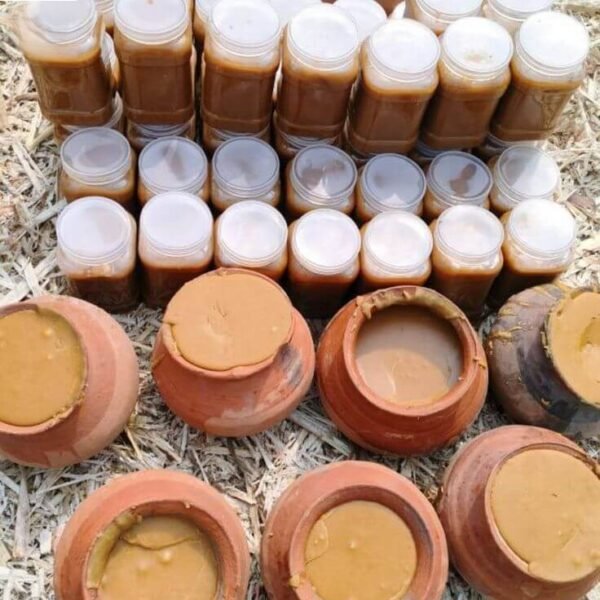 খেজুর গুড় (Khejur Gur)